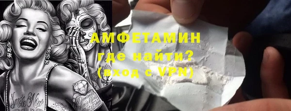 сатива Аркадак