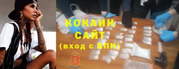 сатива Аркадак