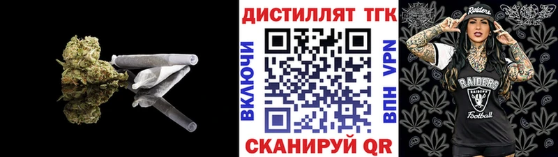 OMG tor  Новодвинск  Дистиллят ТГК THC oil 