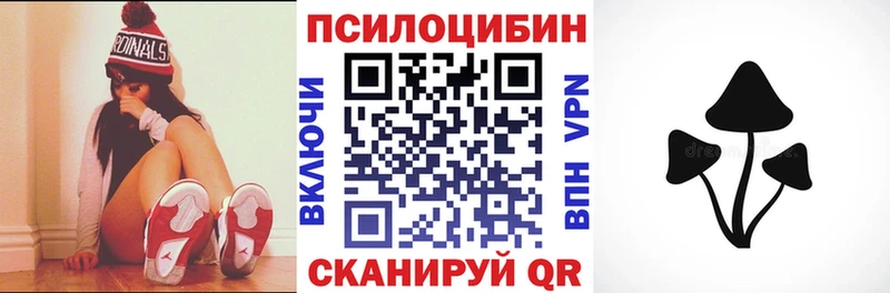Галлюциногенные грибы Psilocybe  закладка  Новодвинск 