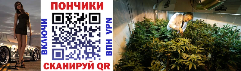 Бошки марихуана план OMG зеркало Новодвинск даркнет сайт